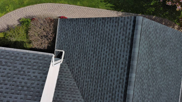 Best Chimney Flashing Repair  in Nevada, MO